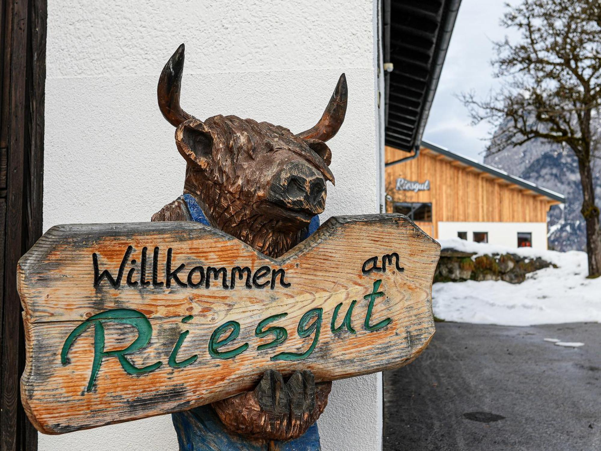 Mountain Residence Riesgut Werfen Buitenkant foto